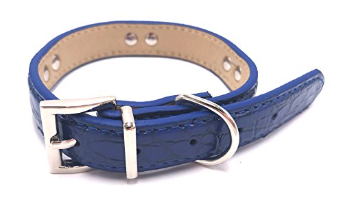 PetsCaptain Stylish Leather Pet Supplies Dog and Cat Leash (0.63" x 48") with Collar(0.63" x 9.5~12.5" Neck Size) Set for Small Dogs and Cats, Blue Color, PSC-LC5026SB