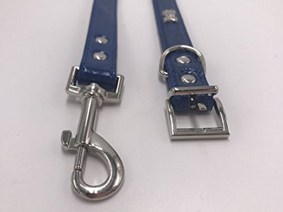 PetsCaptain Stylish Leather Pet Supplies Dog and Cat Leash (0.63" x 48") with Collar(0.63" x 9.5~12.5" Neck Size) Set for Small Dogs and Cats, Blue Color, PSC-LC5026SB